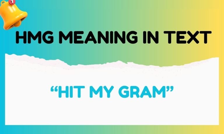 hmg meaning in text