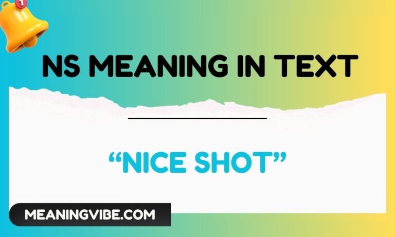 ns meaning in text