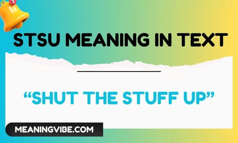 stsu meaning in text