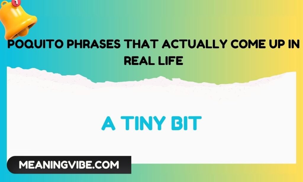Poquito Phrases That Actually Come Up in Real Life