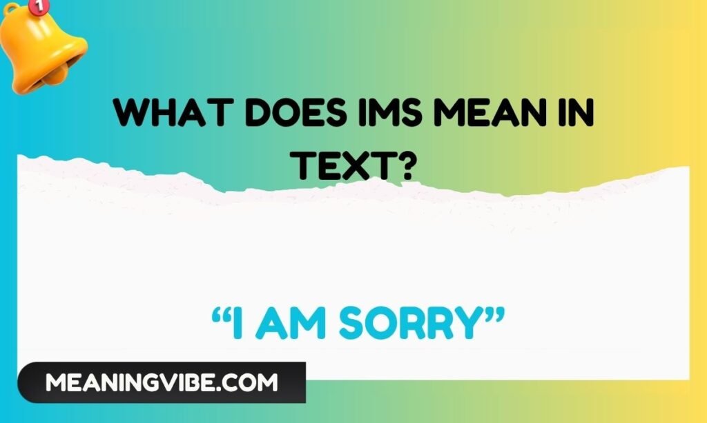 What Does IMS Mean in Text
