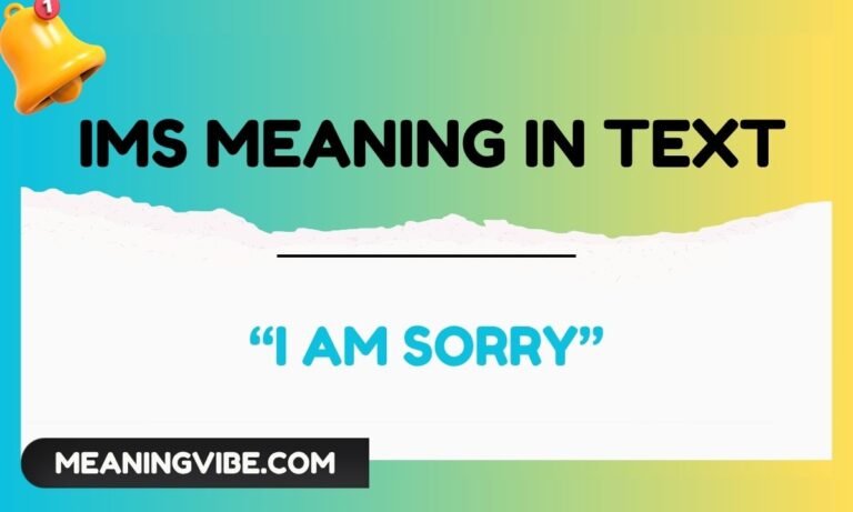 ims meaning in text