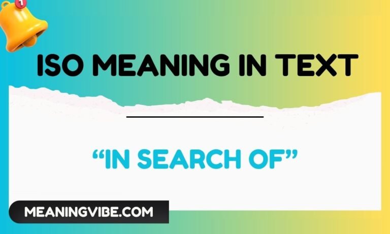 iso meaning in text