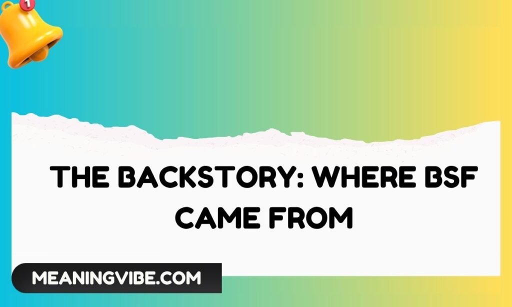 The Backstory Where BSF Came From