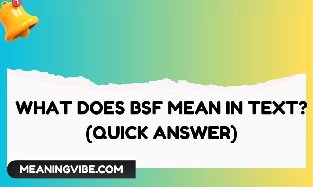 What Does BSF Mean in Text (Quick Answer)