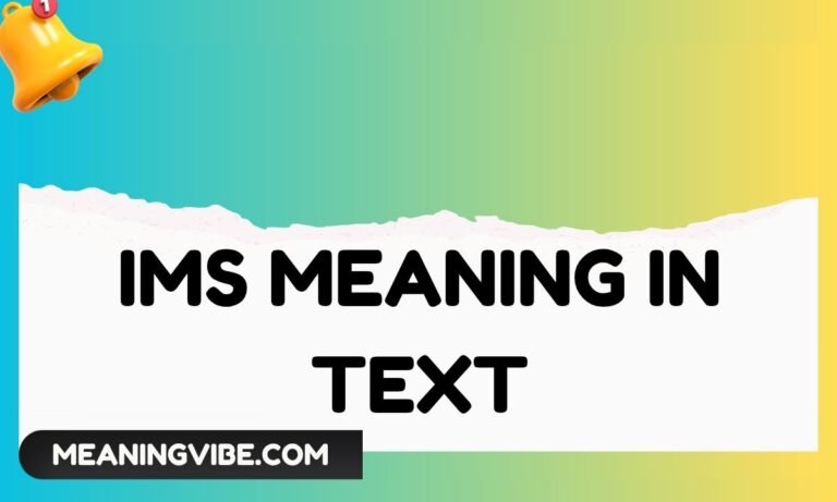 IMS Meaning in Text (1)