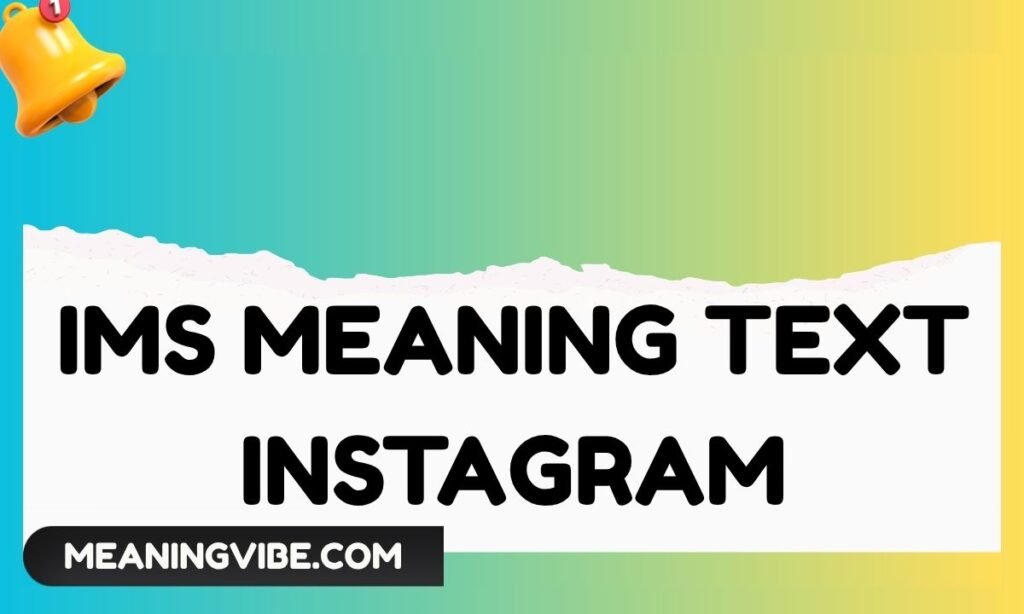 Ims Meaning Text Instagram