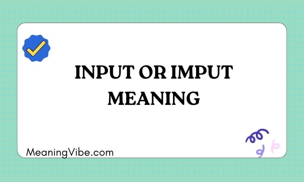 Input or Imput Meaning