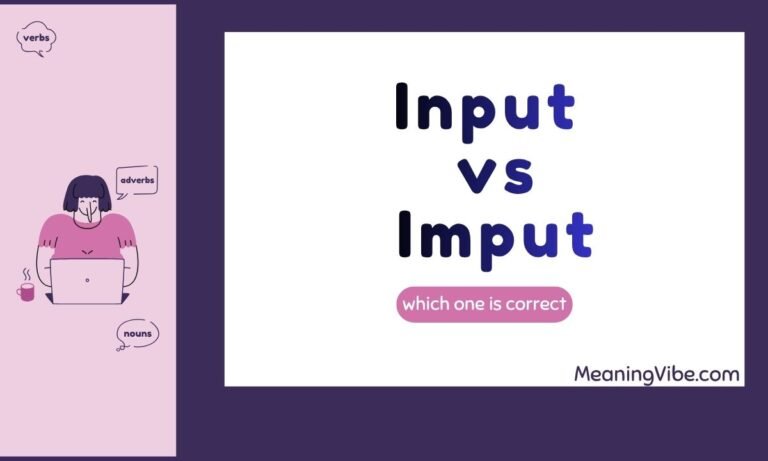 Input vs Imput