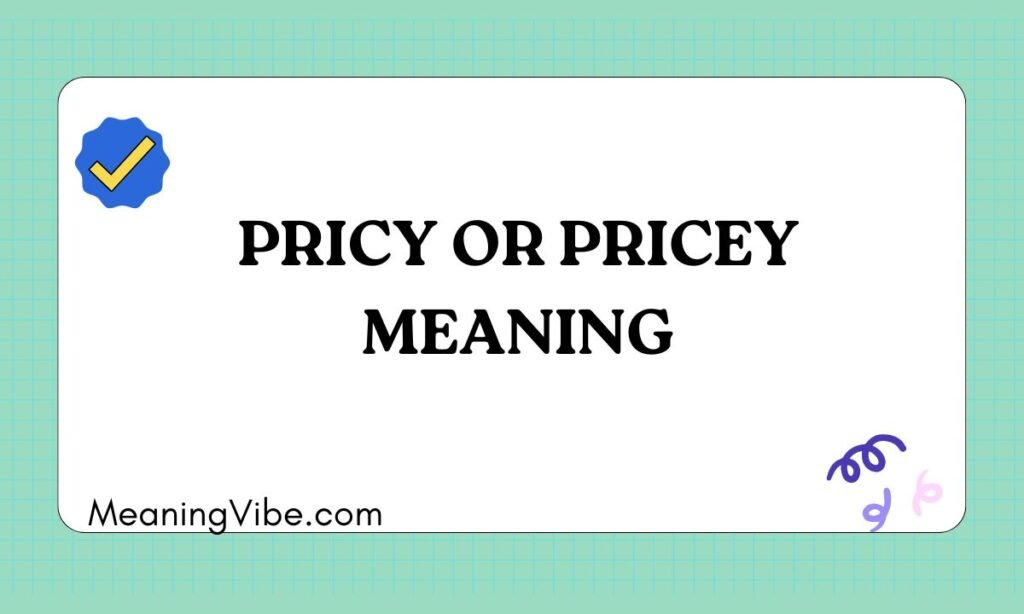 Pricy or Pricey Meaning (1)
