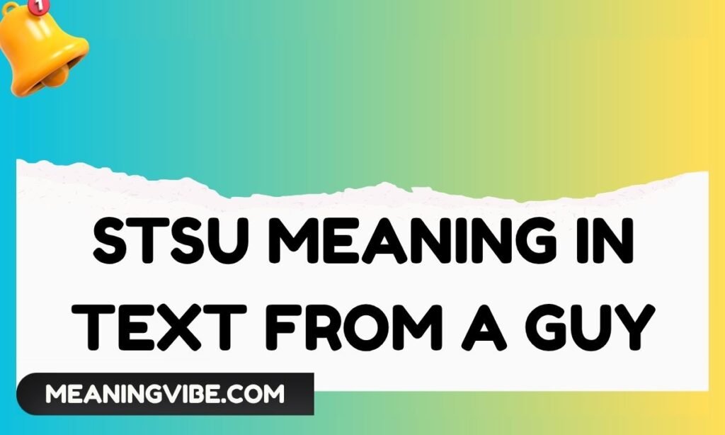 Stsu meaning in text from a guy