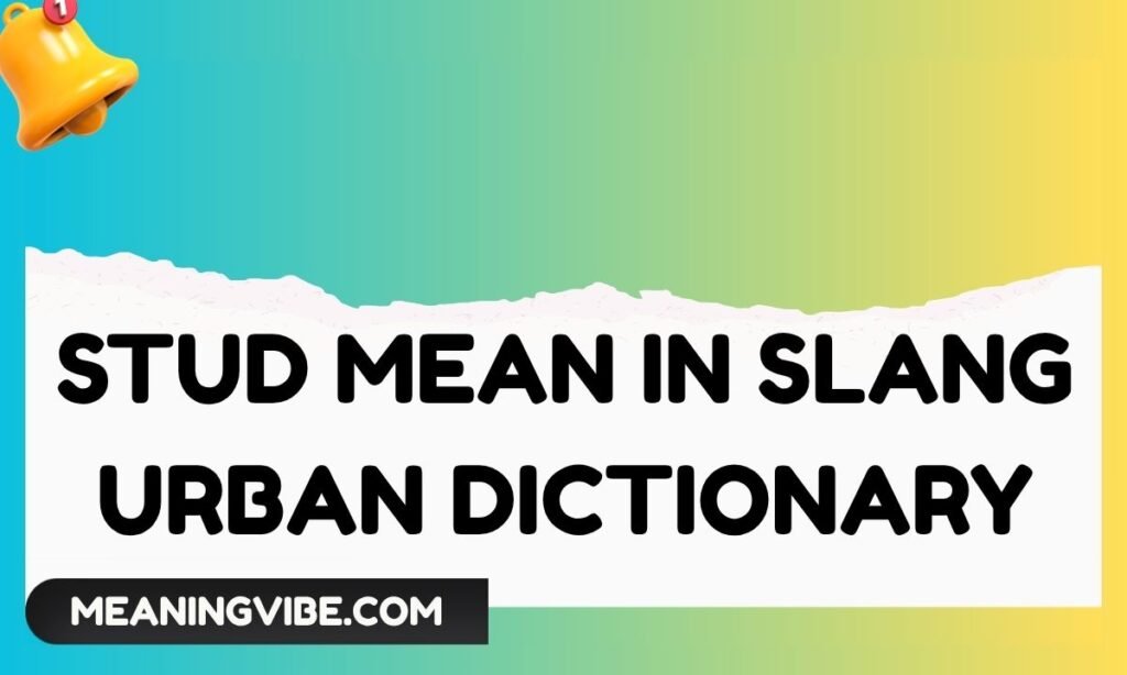 Stud Mean in Slang Urban Dictionary