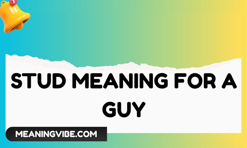 Stud Meaning for a Guy