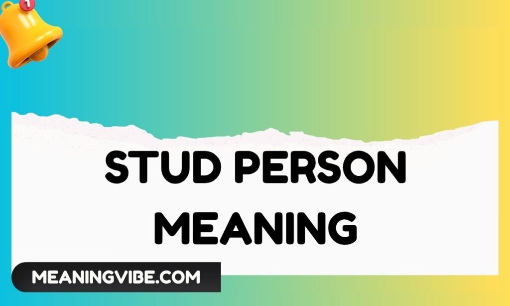Stud Person Meaning