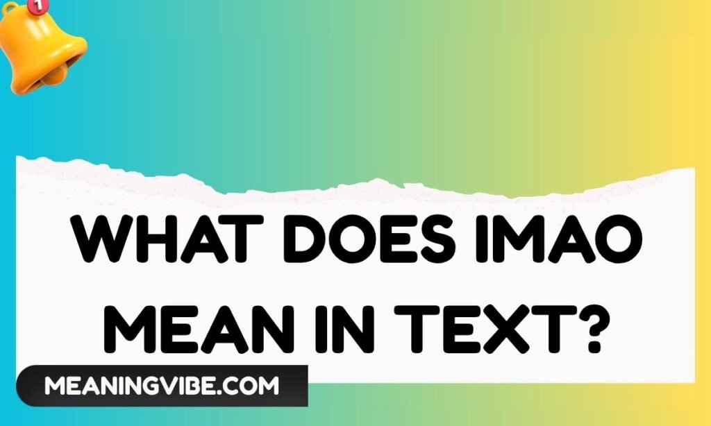 What Does IMAO Mean in Text