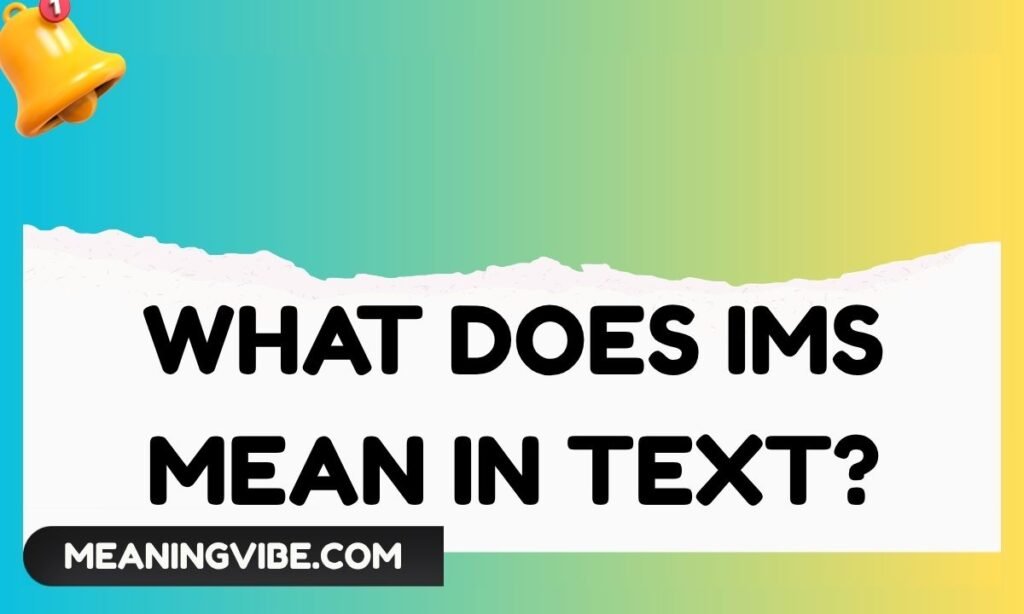 What Does IMS Mean in Text (1)