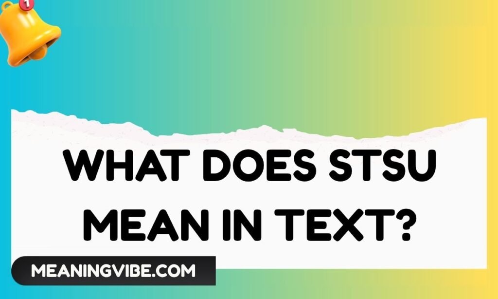 What Does STSU Mean in Text
