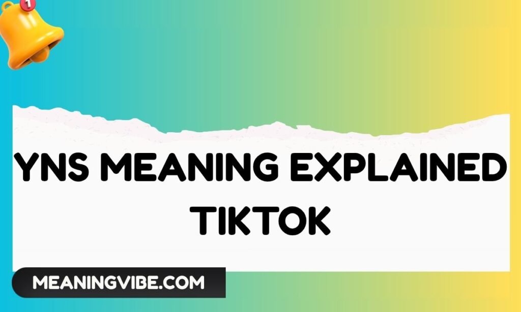 Yns meaning explained TikTok