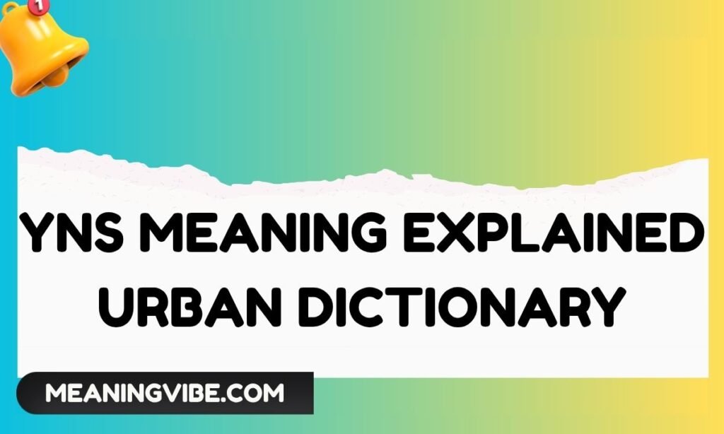 Yns meaning explained urban dictionary